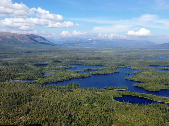 Десятое лето на плато Путорана
