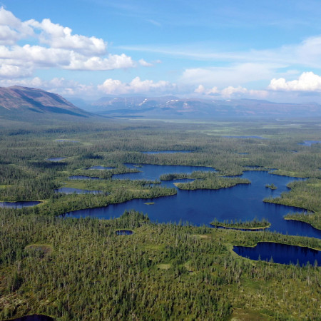 Десятое лето на плато Путорана