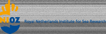 Королевский институт Нидерландов по исследованию моря