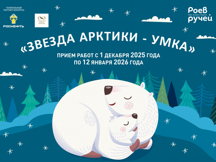 IX Всероссийский литературный конкурс «Звезда Арктики – Умка»