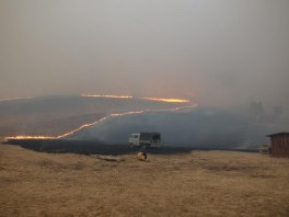 С начала 2015 года в России зафиксирован 21 природный пожар на территориях 3 заповедников и 5 национальных парков