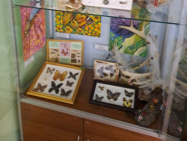 ДС № 97 _Выставка одной витрины_Планета насекомых 2