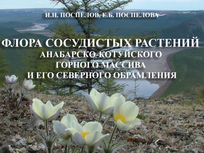 Новая книга о флоре Таймыра
