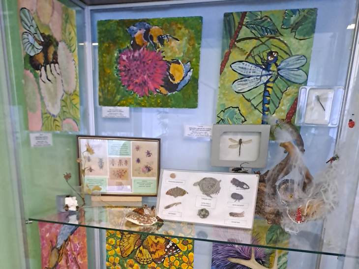 ДС № 97 _Выставка одной витрины_Планета насекомых 