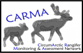 CircumArctic Rangifer Monitoring and Assessment Network_CARMA