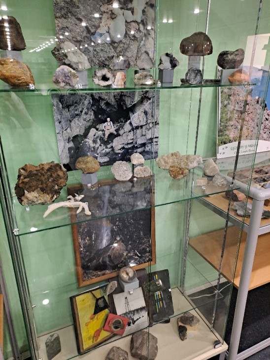 Разделл выставки с минералы и палеонтологией
