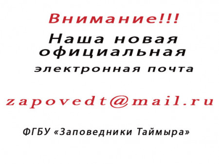 Наш наша новая электронная почта zapovedt@mail.ru