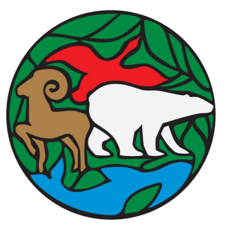 Интервью. Конференции.