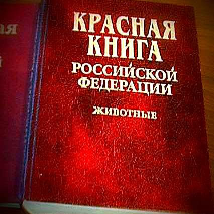 Обновленная Красная книга Российской Федерации будет издана в 2015 году