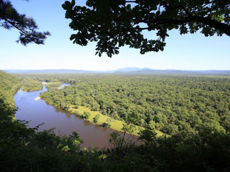 В Приморье в начале 2016 года будет создан национальный парк «Бикин»
