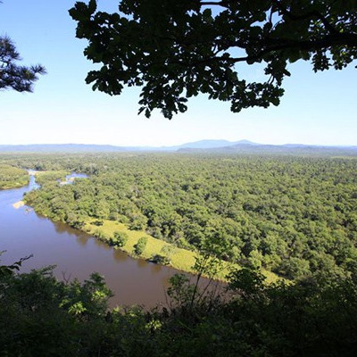 В Приморье в начале 2016 года будет создан национальный парк «Бикин»
