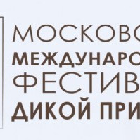 Минприроды России информирует о приеме работ на 10-ый юбилейный фестиваль искусств о дикой природе «Золотая Черепаха»