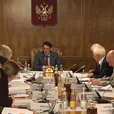 Алексей Гордеев провёл совещание о полномочиях федеральных органов исполнительной власти в области обращения с животными