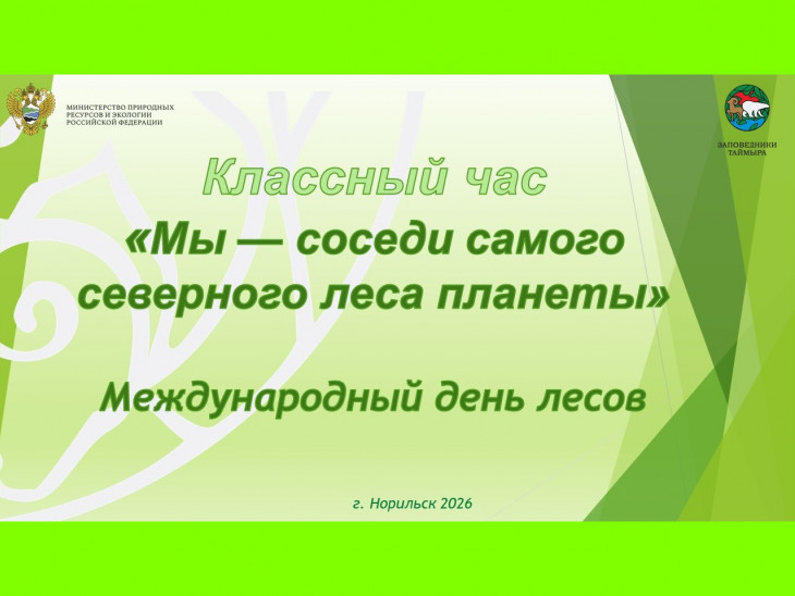 Мы — соседи самого северного леса планеты