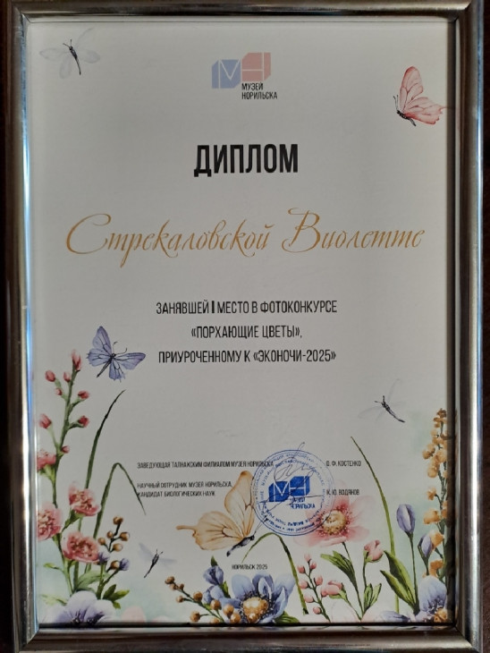 Димлом за I место Виолетте Стрекаловской 