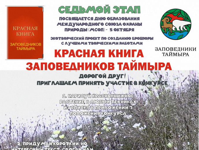Осоки, злаки и другие