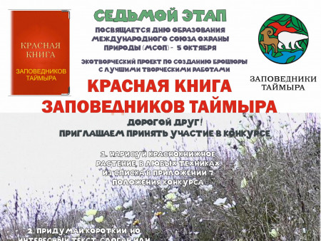 Осоки, злаки и другие