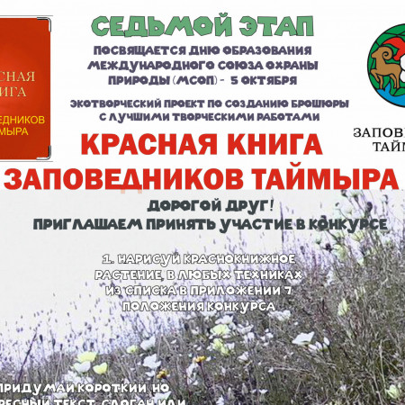 Осоки, злаки и другие