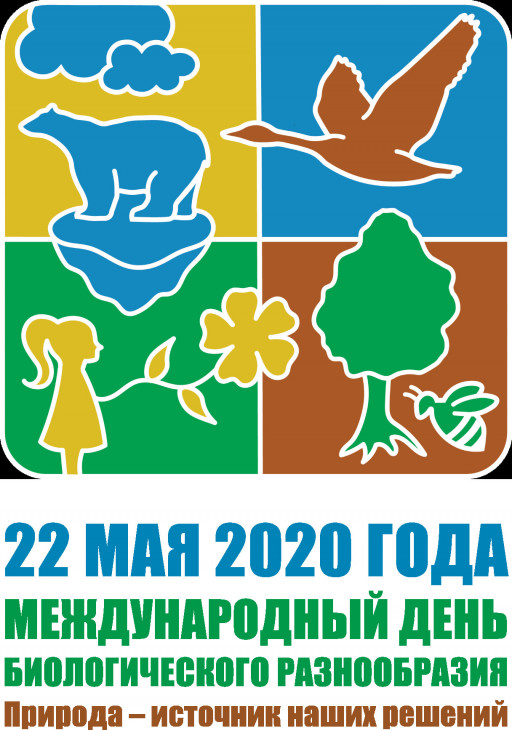 idb-2020-logo-ru-print-vertical