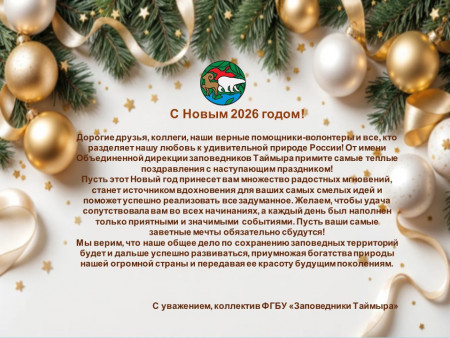 С Новым 2026 годом!!!