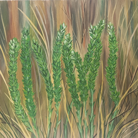 Краснокнижные растения-2. Краснокнижные растения-2.