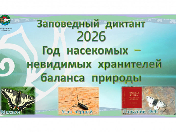 Встречайте Год насекомых с "Заповедным диктантом"