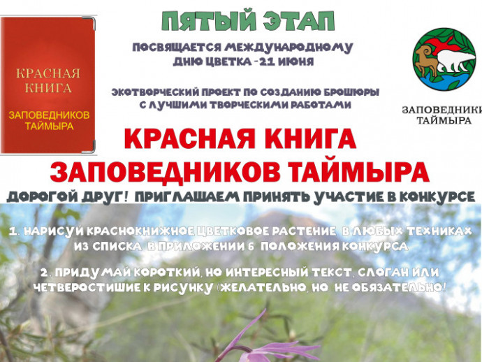 Заповедные цветы Таймыра