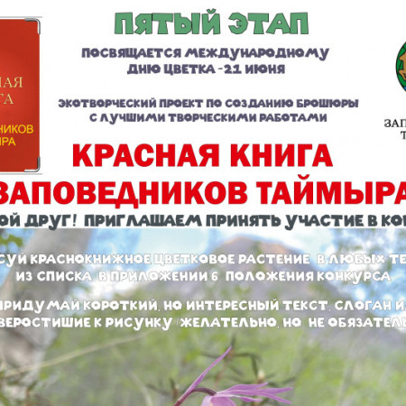 Заповедные цветы Таймыра