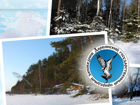 В год 70-летия Дарвинского заповедника открыт первый в Вологодской области информационный эколого-просветительский центр