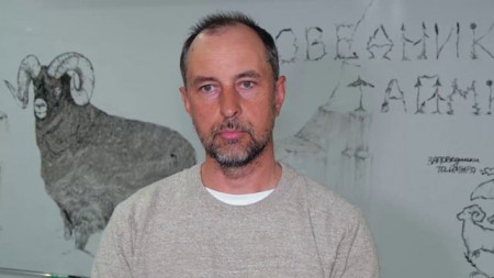 Больше зелени и птичьих гнезд