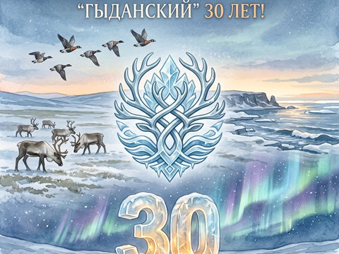 У соседей юбилей.