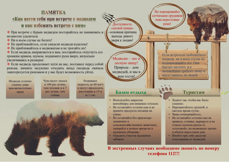 памятка медведь