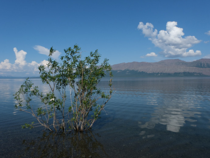 Водное ожерелье Таймыра