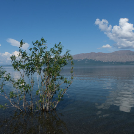 Водное ожерелье Таймыра